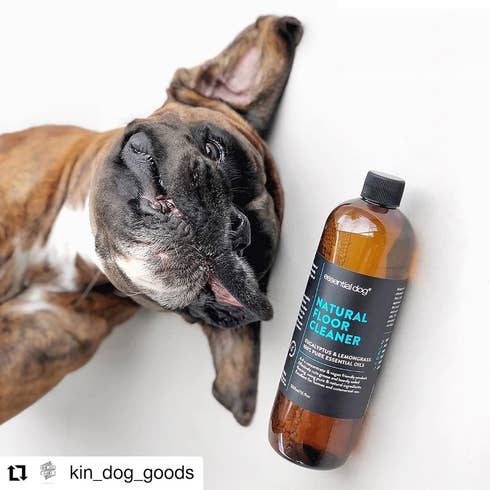 Sensitive Dog Natural Floor Cleaner (Eucalyptus) 500ml - Eucalyptus and Lemongrass