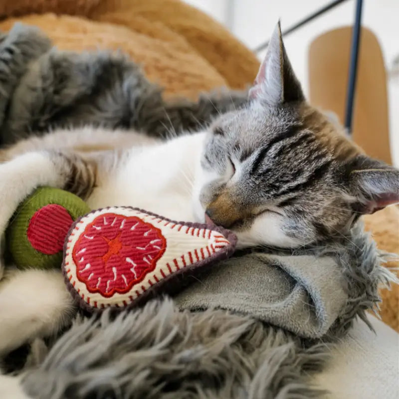 OLIVE & FIG - Tinkly + Catnip