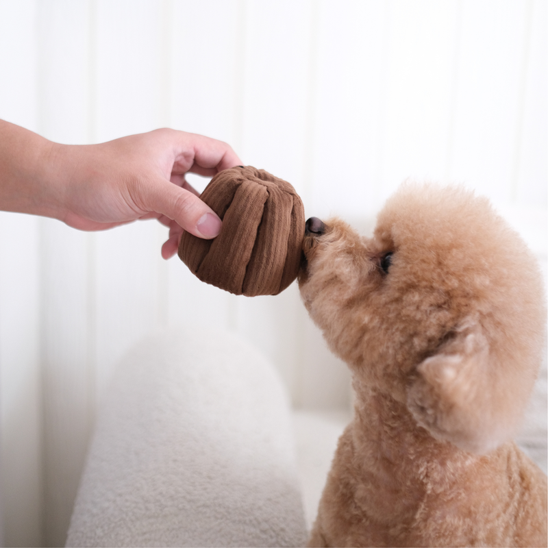 Dark Brown Canele - Squeaky & Snuffle