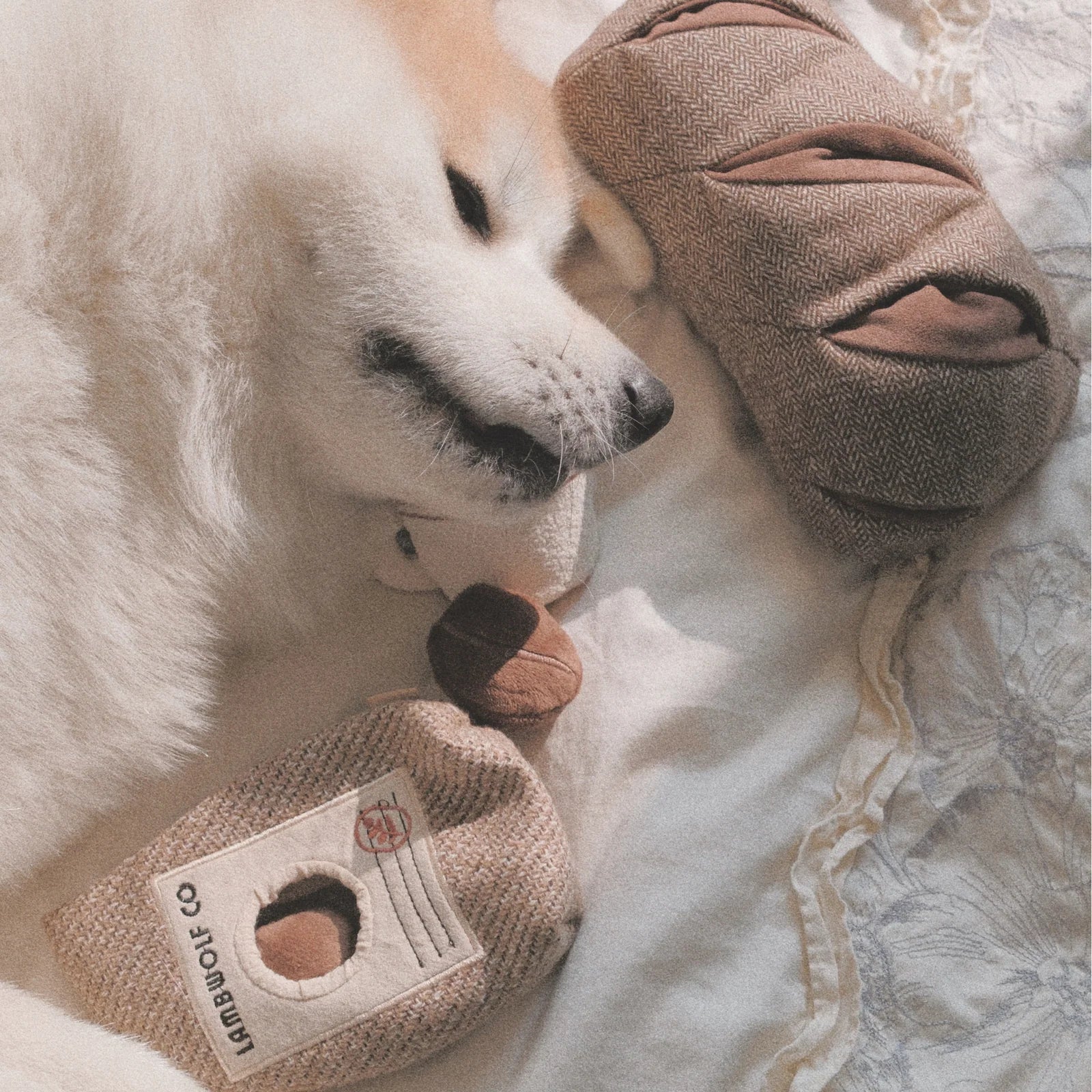 RYE - Crinkly Paper Bag + Squeaky