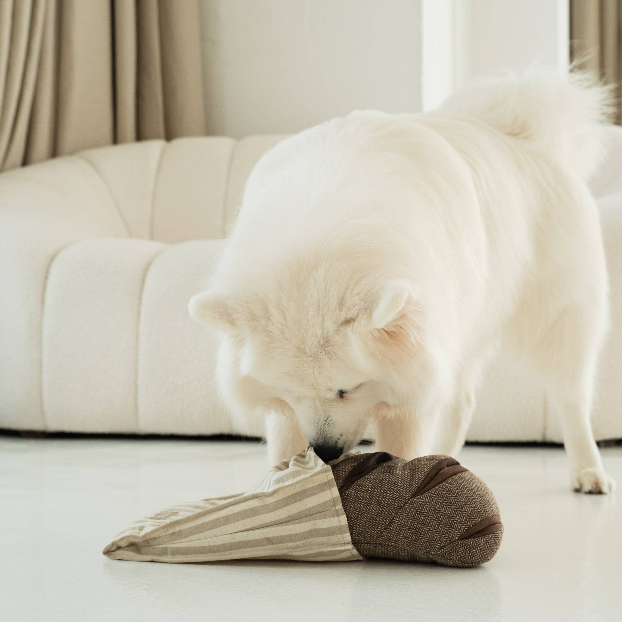 RYE - Crinkly Paper Bag + Squeaky