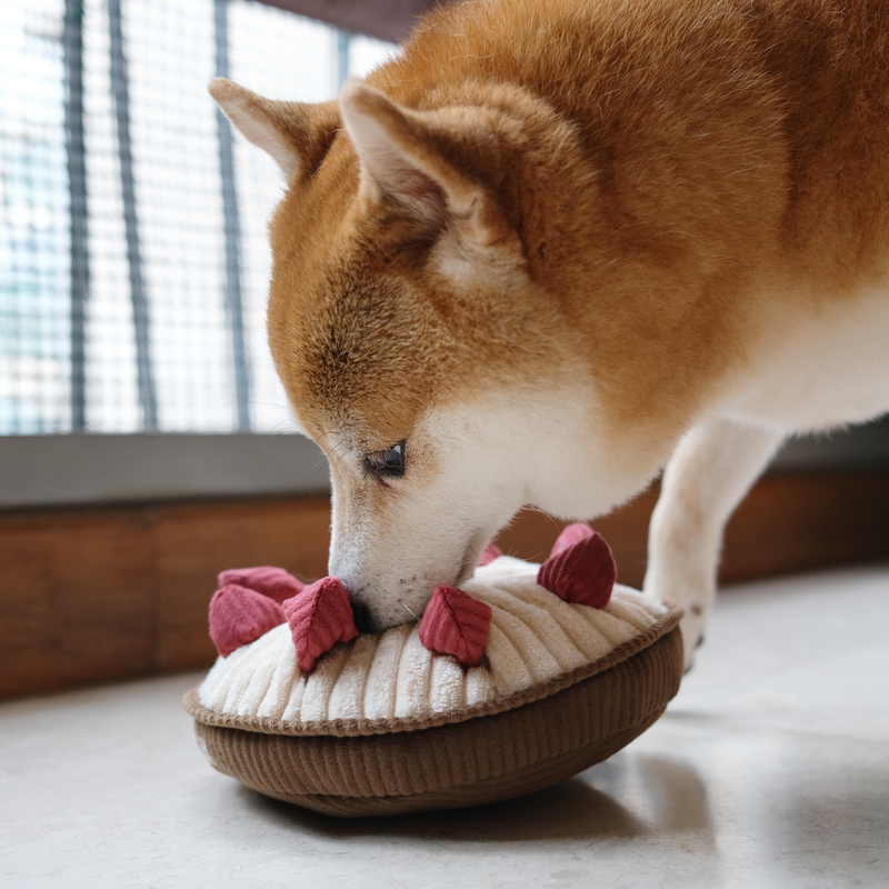 BERRY PIE - Snuffle & Squeaky