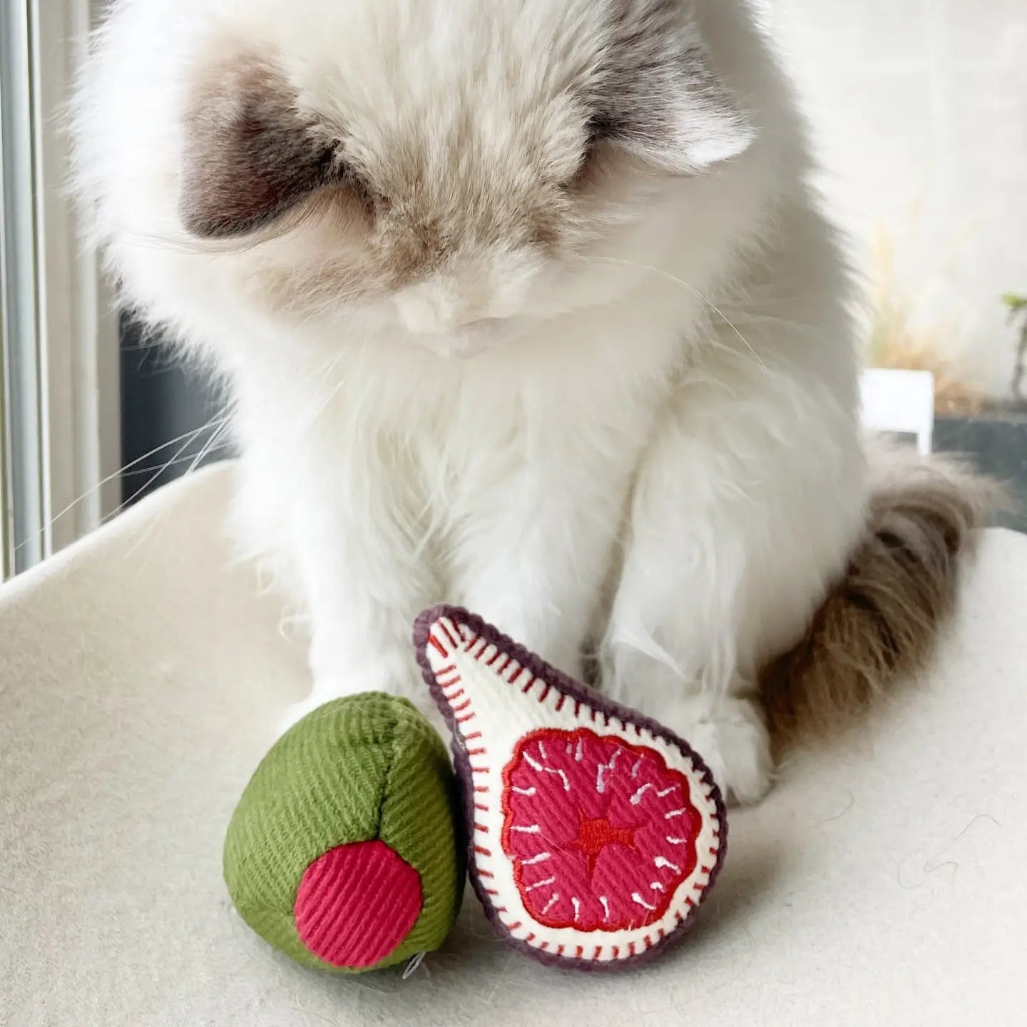 OLIVE & FIG - Tinkly + Catnip