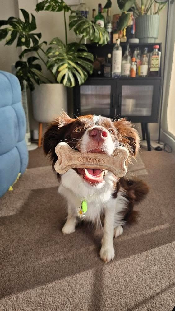 Natural Seaweed Dog Bone