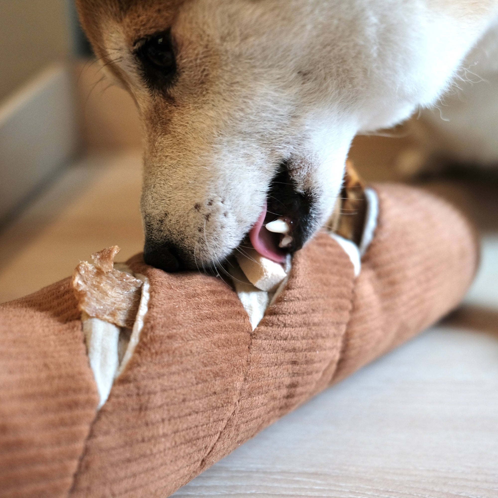 Large Baguette - Squeaky + Snuffle