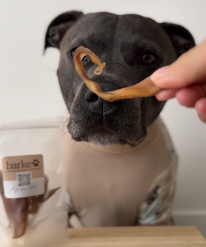 Premium Pig Ear Strips 12 Pack 60g <br>Chew Level 2 (Moderate)