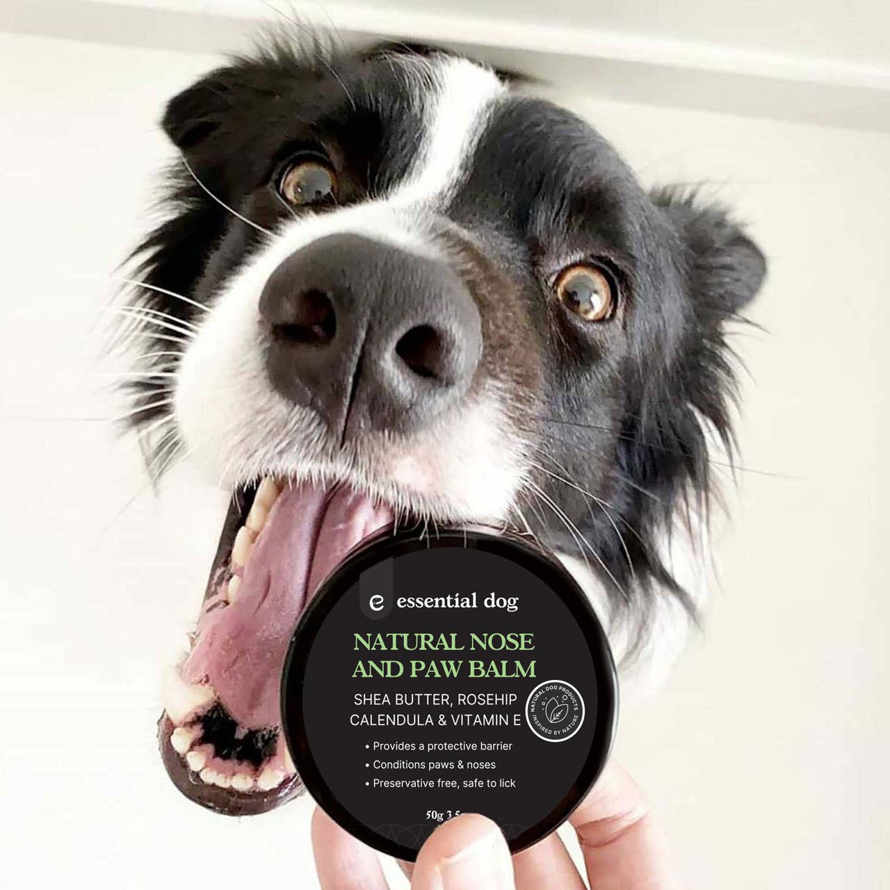 Dog Nose & Paw Balm (Jojoba Oil) 50g
