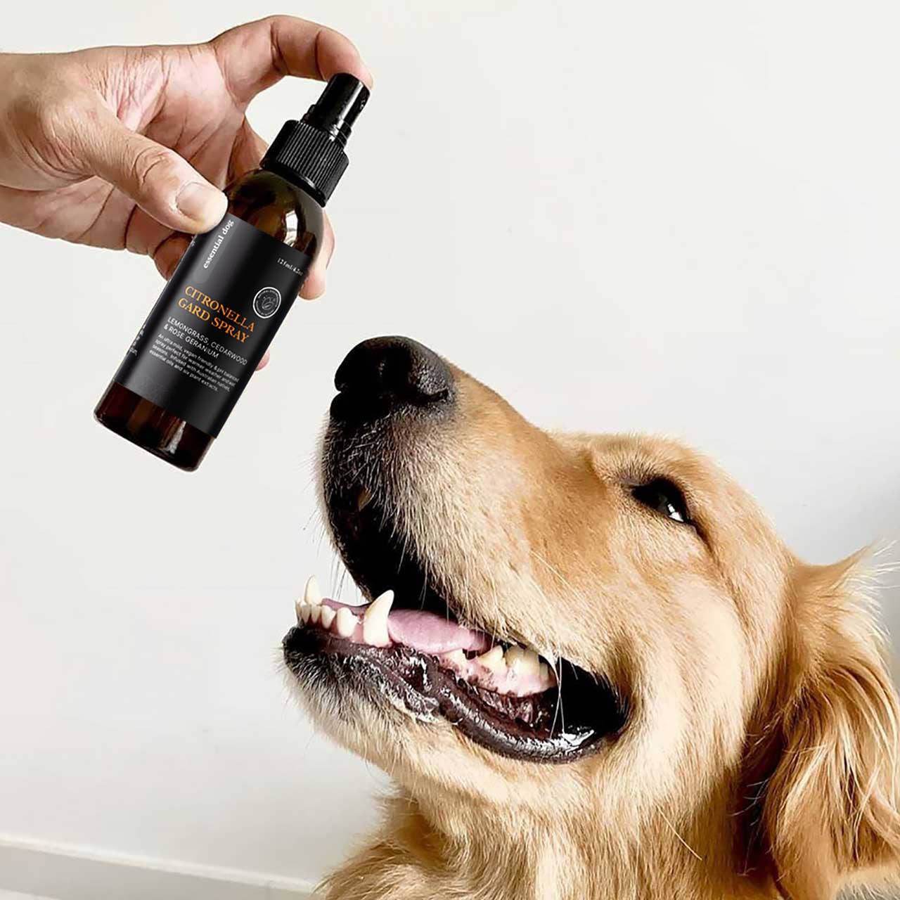 Sensitive Dog Gard Spray 125ml - Citronella, Lemongrass & Lavender