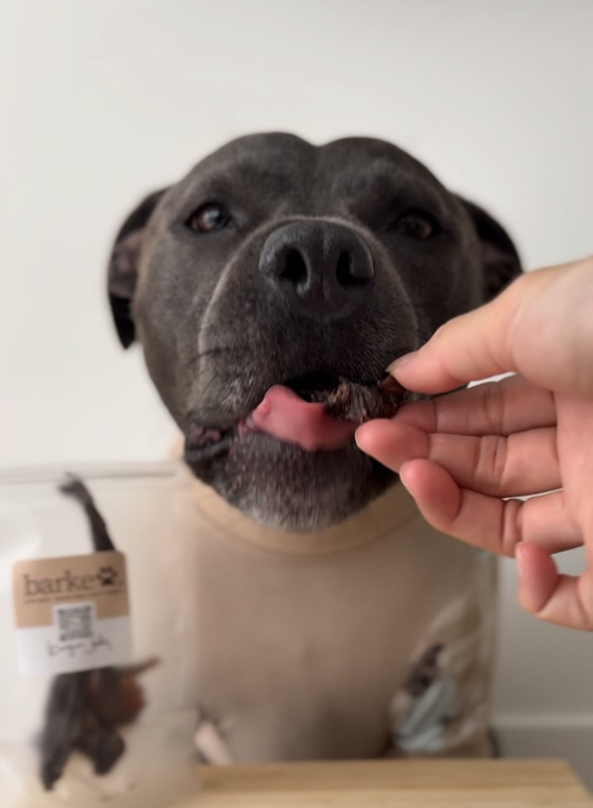 Premium Kangaroo Jerky 80g  <br> Chew Level 2 (Moderate)