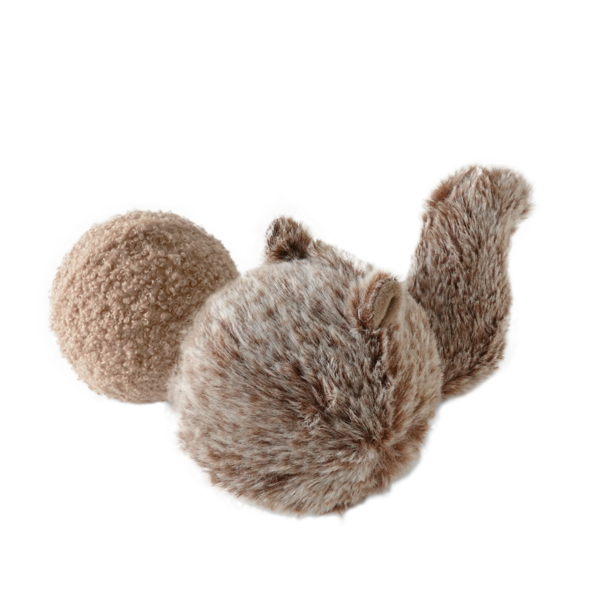Squirrel Pop - Squeaky + Bouncy