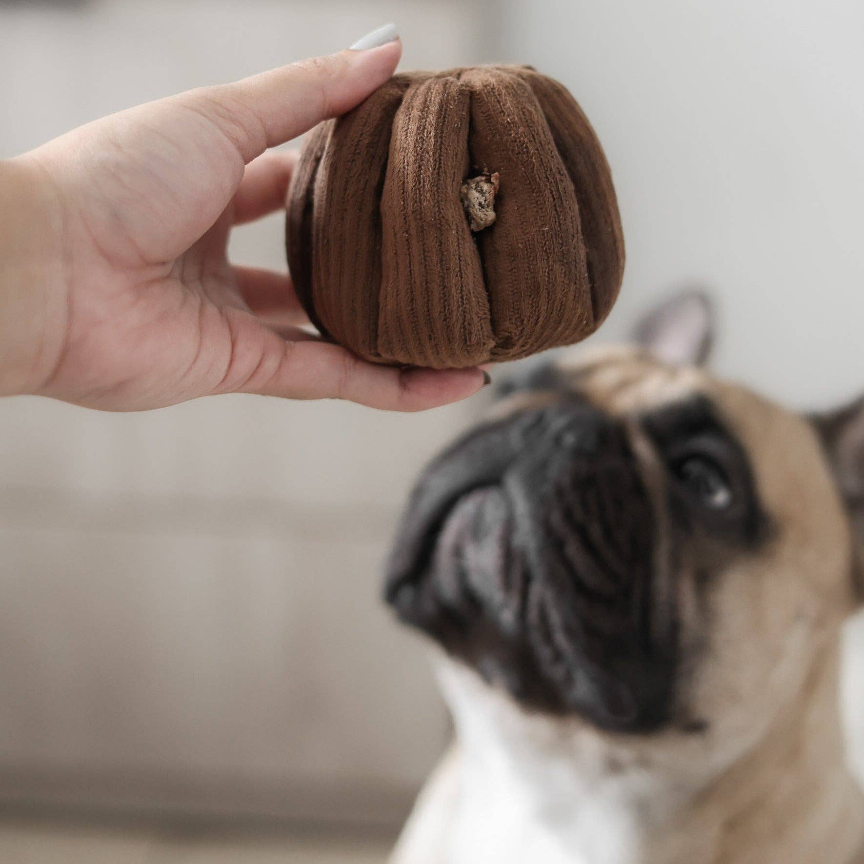 Dark Brown Canele - Squeaky + Snuffle
