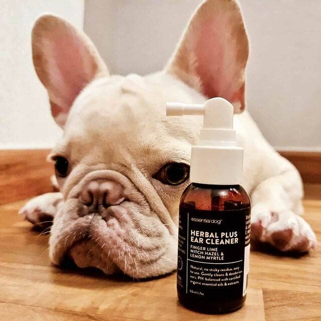 Herbal Dog Ear Cleaner 50ml - Finger Lime & Lemon Myrtle