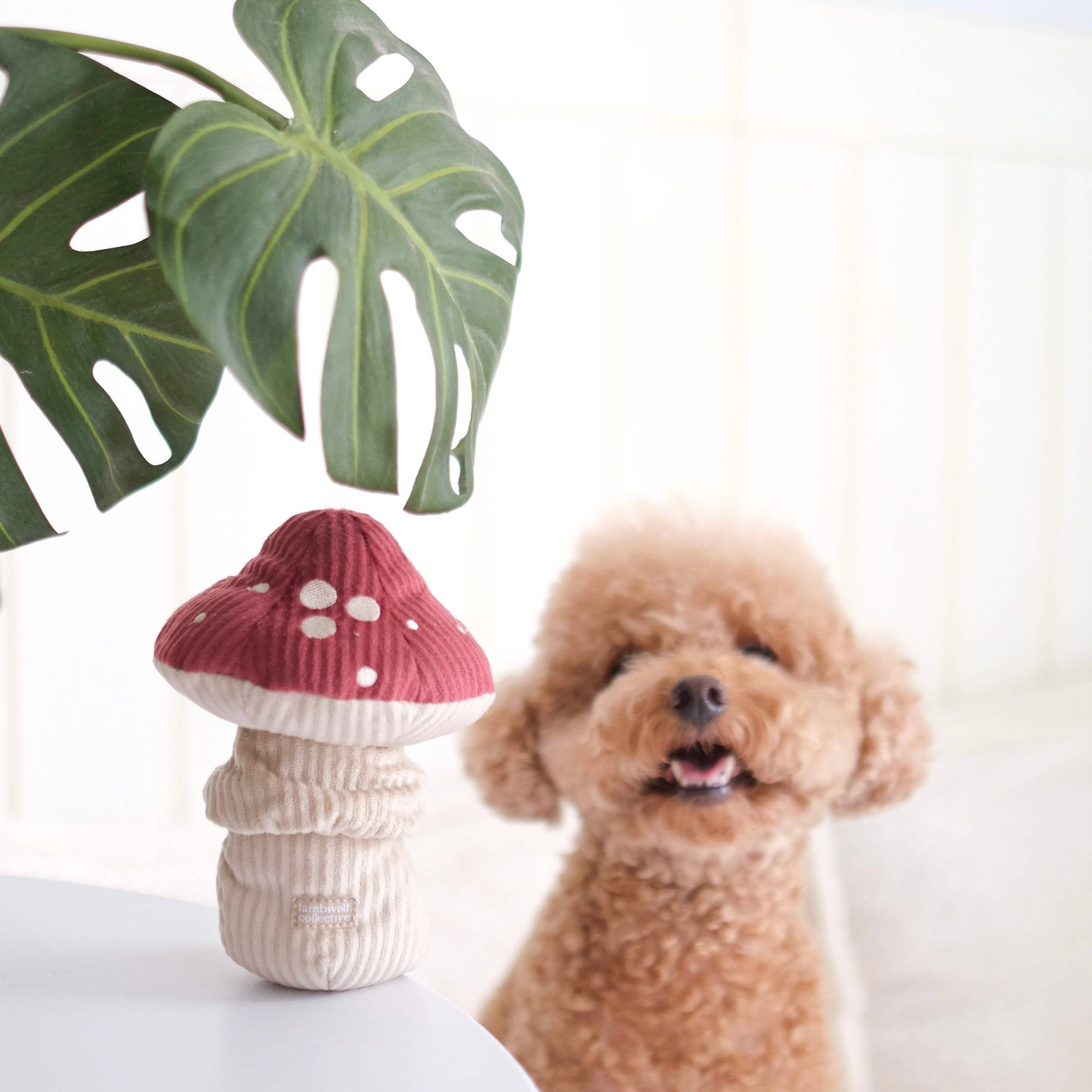 SHROOM - Snuffle Mushroom