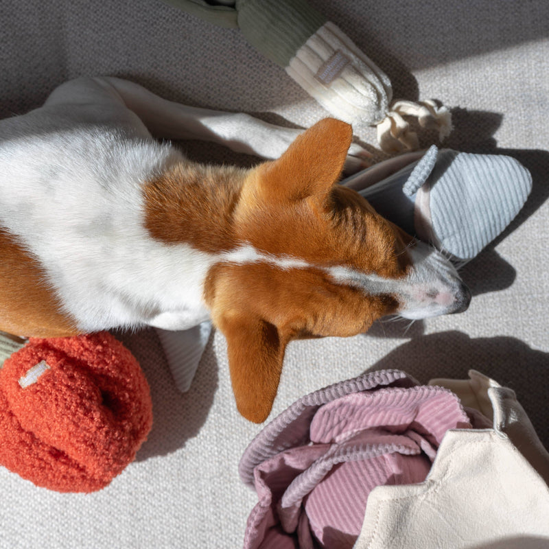 Red Pepper - Squeaky & Snuffle