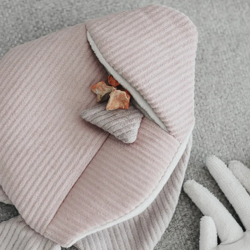 Pink Angel Fish - 2 in 1 Burrow & Snuffle