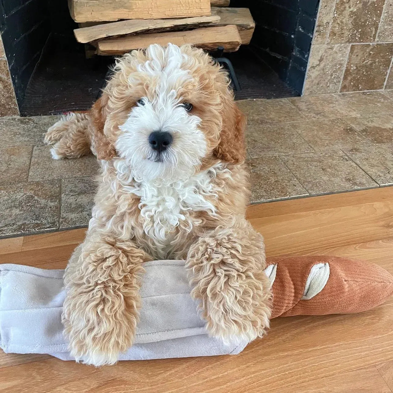 Large Baguette - Squeaky + Snuffle