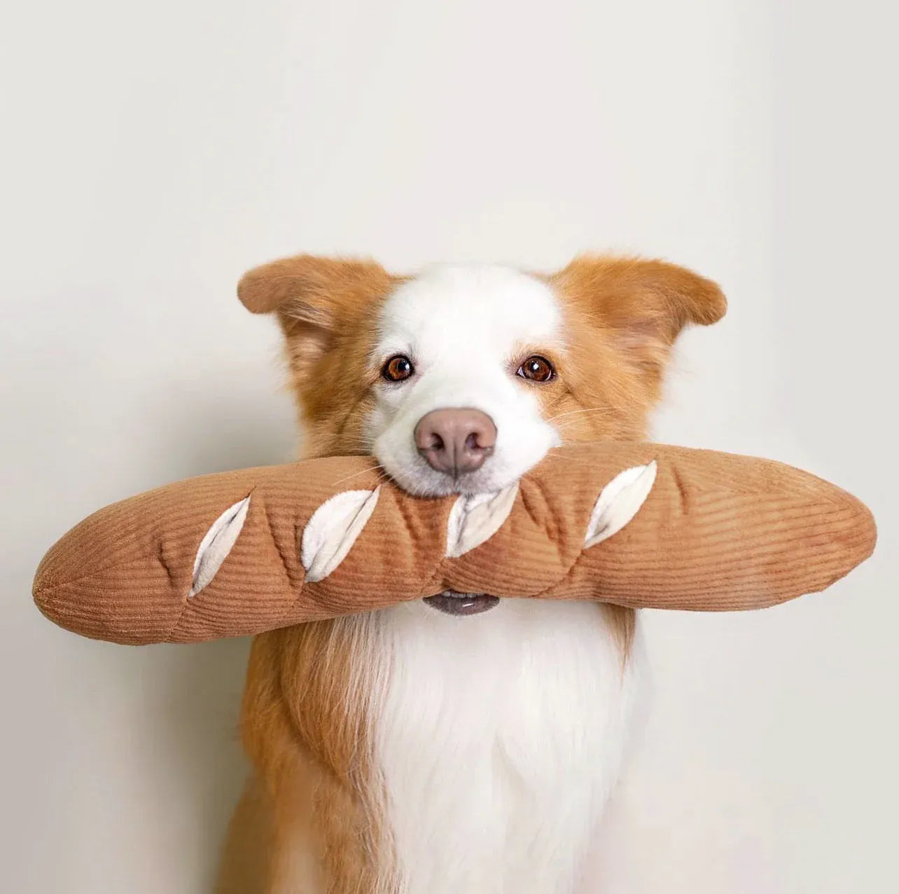 Large Baguette - Squeaky + Snuffle