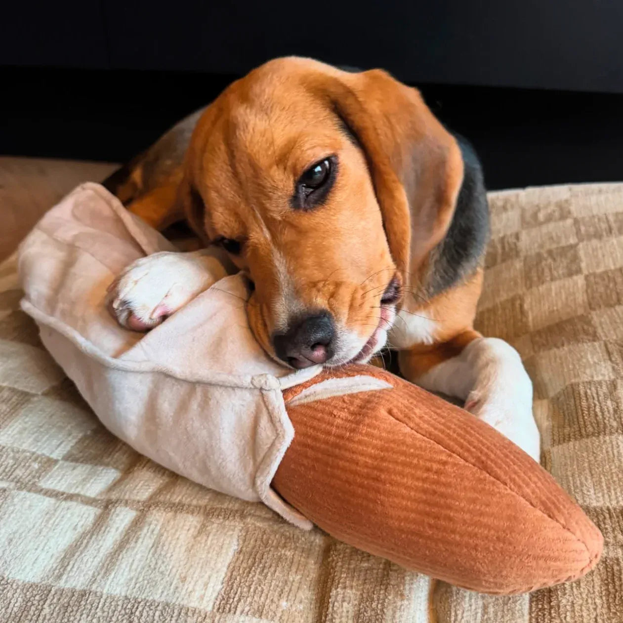 Large Baguette - Squeaky + Snuffle