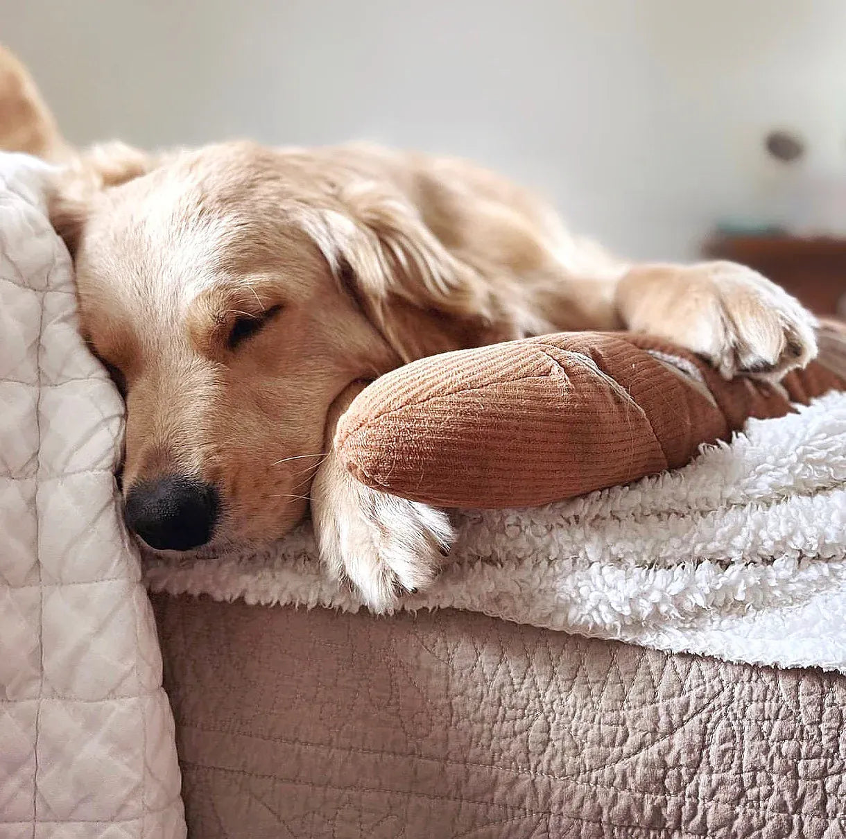 Large Baguette - Squeaky + Snuffle