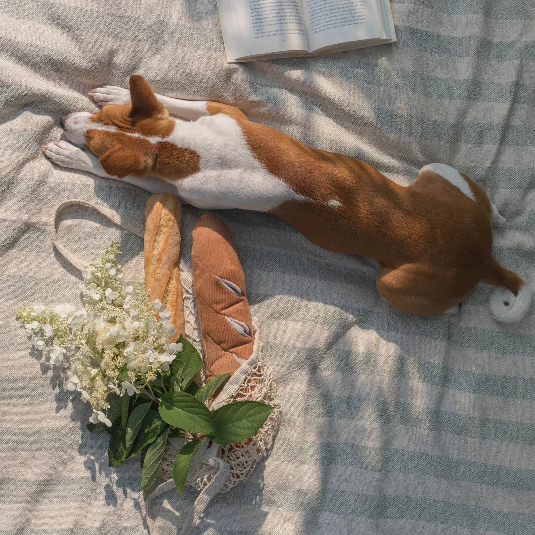 Large Baguette - Squeaky + Snuffle