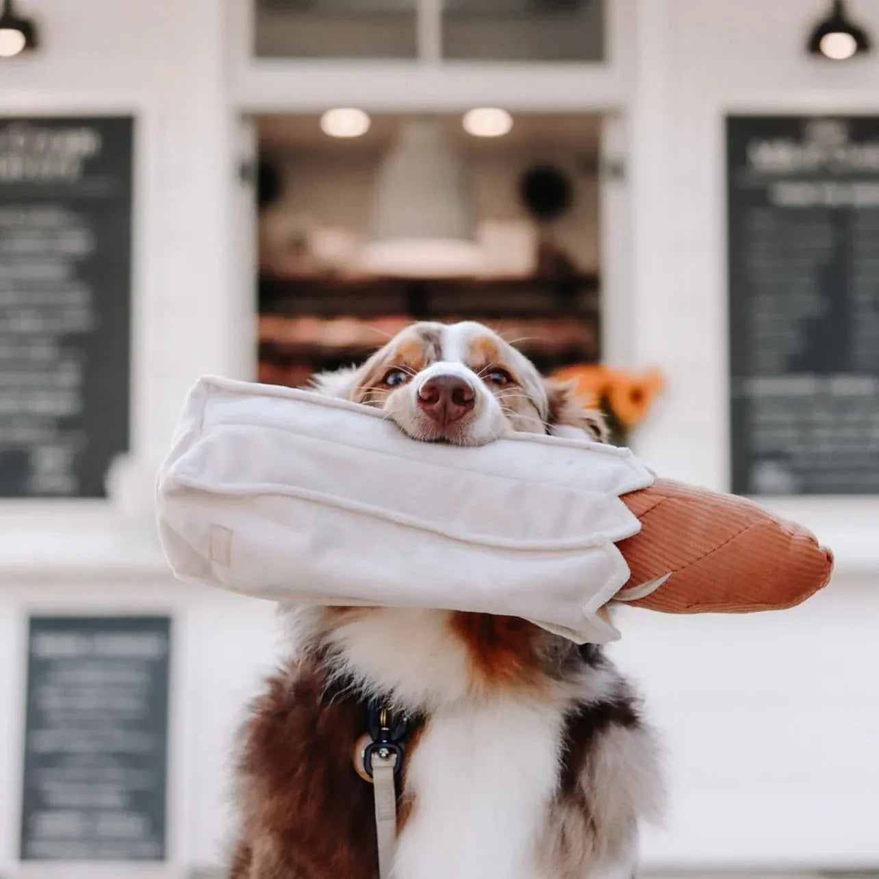 Large Baguette - Squeaky + Snuffle