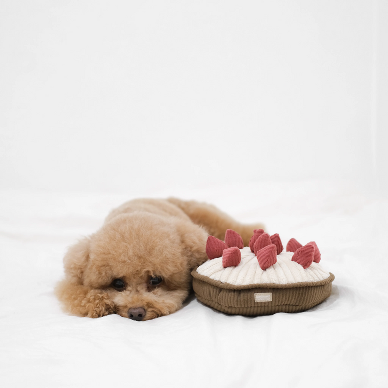 BERRY PIE - Snuffle & Squeaky