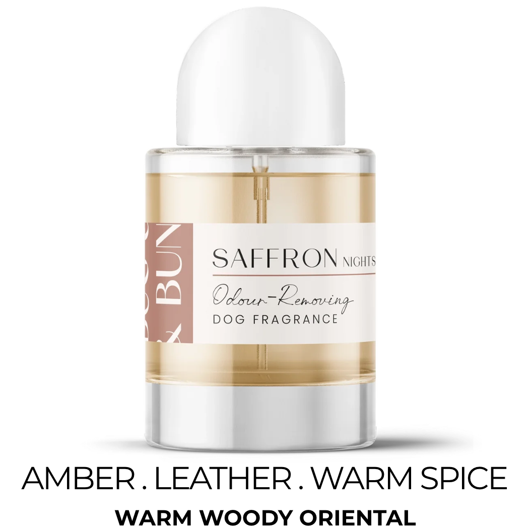Saffron Night Dog Fragrance - Amber, Leather & Warm Spice