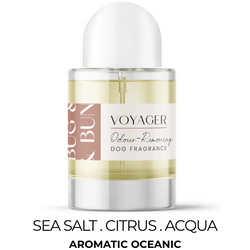 Voyager - Sea Salt, Citrus & Acqua