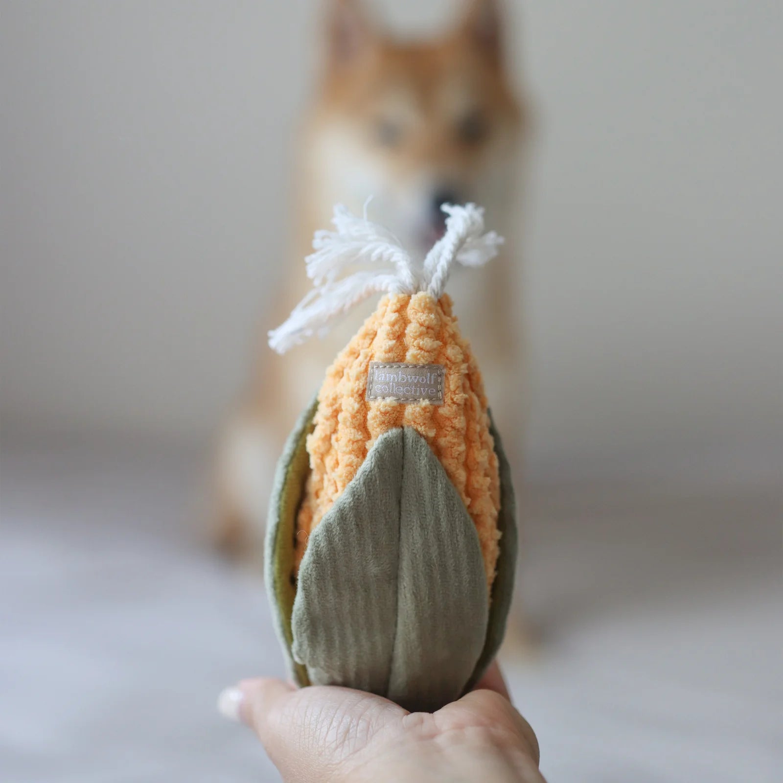 Corn & Leek Set - Snuffle + Fetch Play