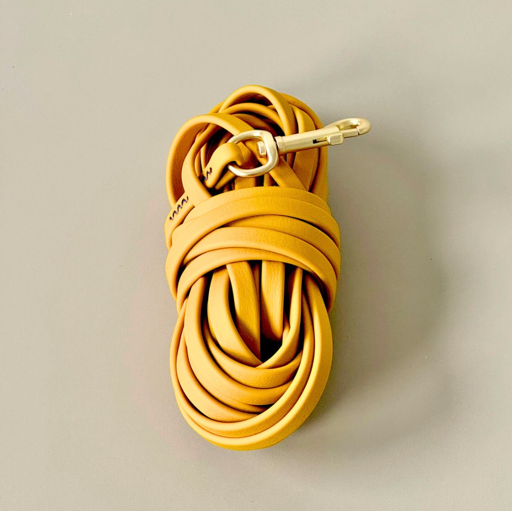 Cheesecake Recall Lead 9m - Waterproof Smellproof Long Line
