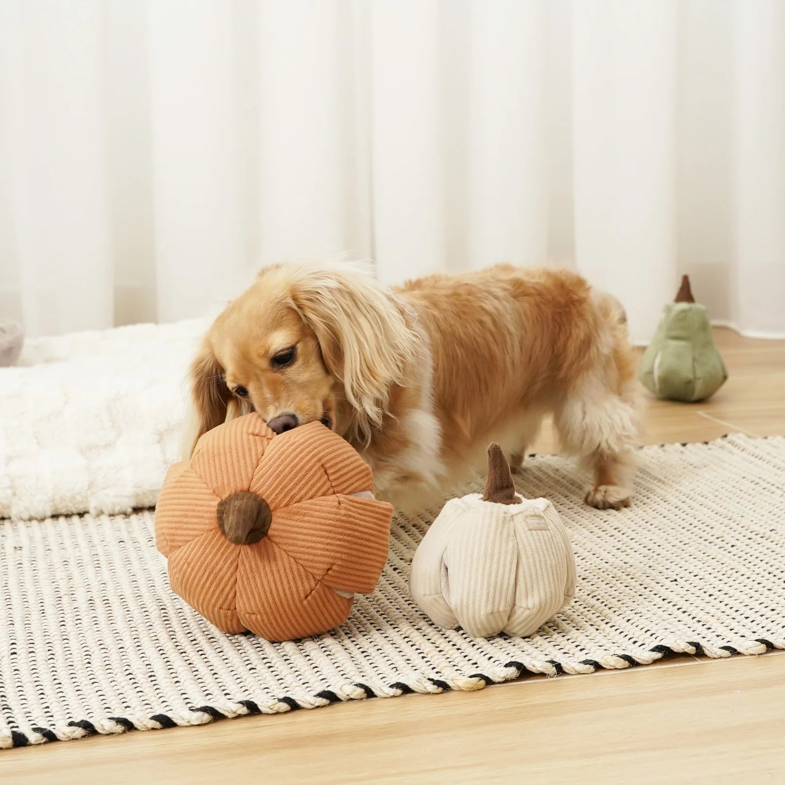 Cinderella Pumpkin Large - Squeaky + Snuffle