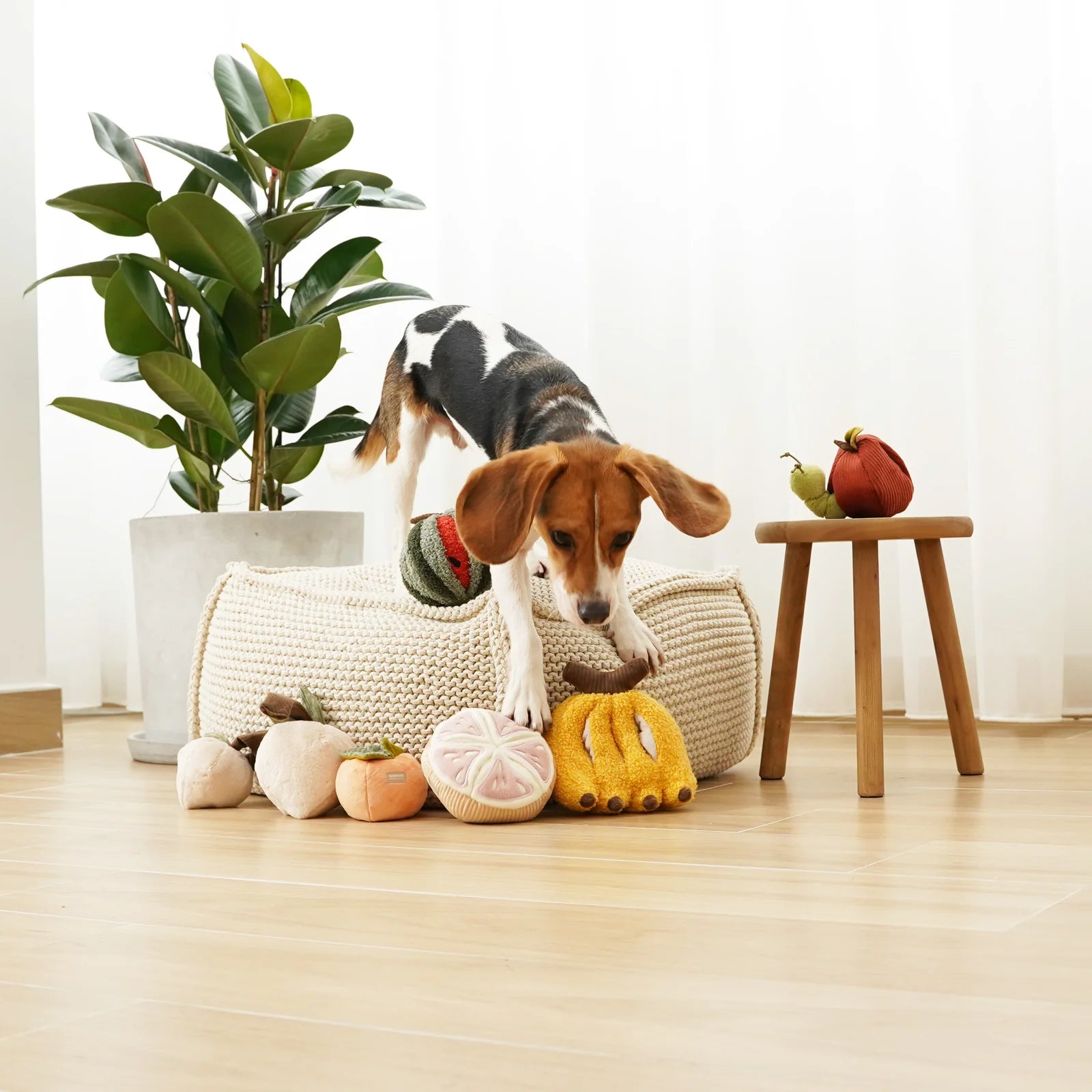 BANANA - Snuffle Toy