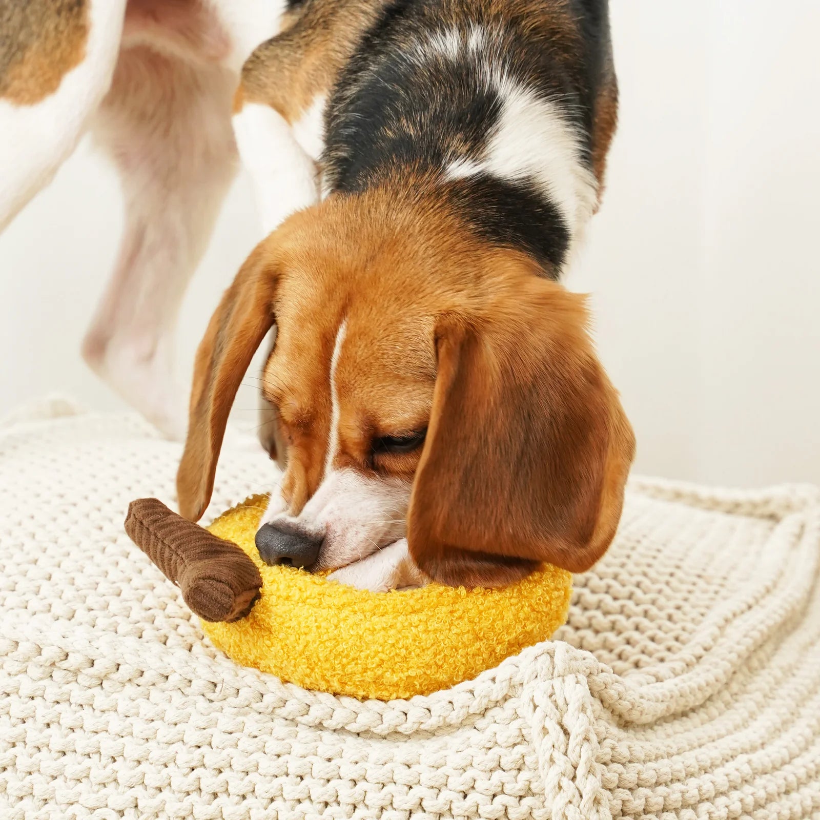 BANANA - Snuffle Toy