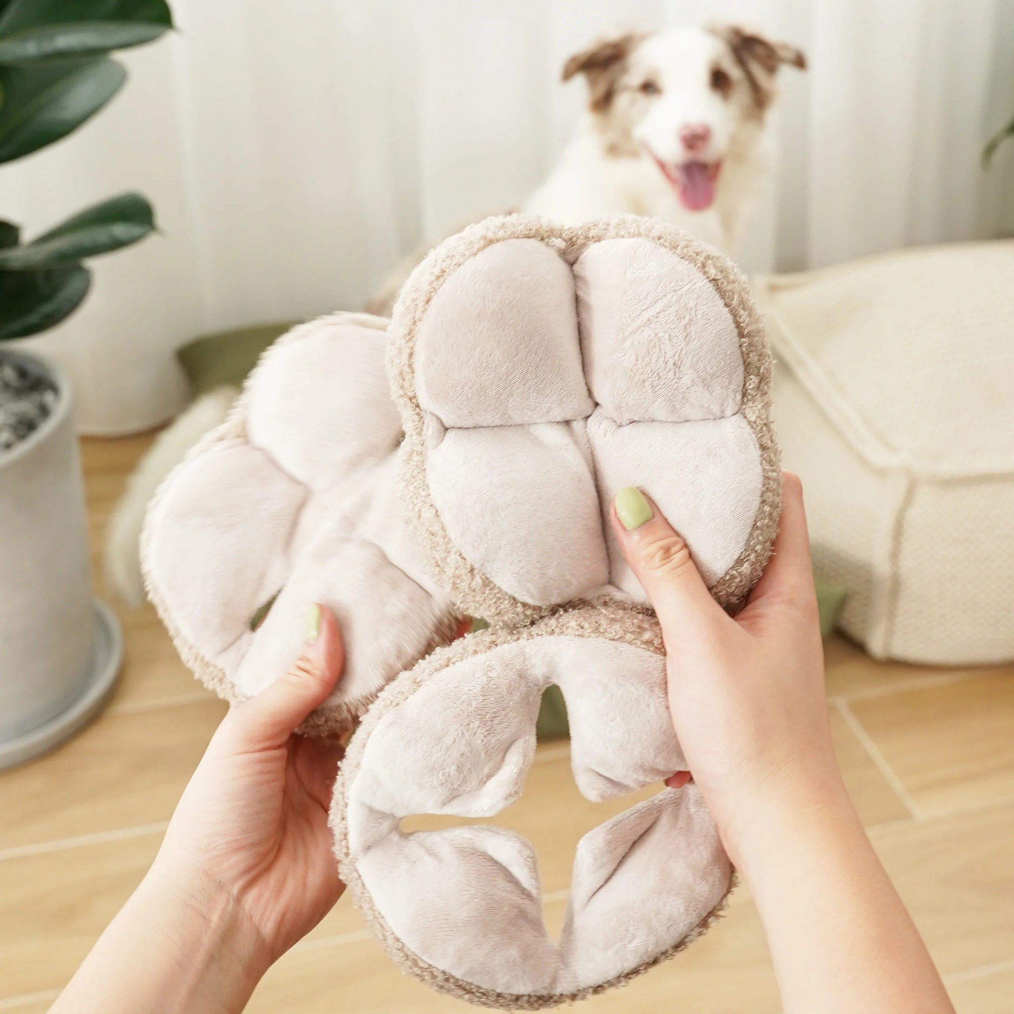 MONTI in Oat - Crinkly + Squeaky Snuffle Ball