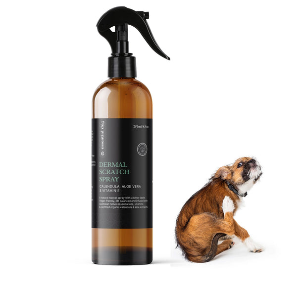 Dermal Scratch Spray for Dogs - Aloe Vera, Calendula & Vitamin E