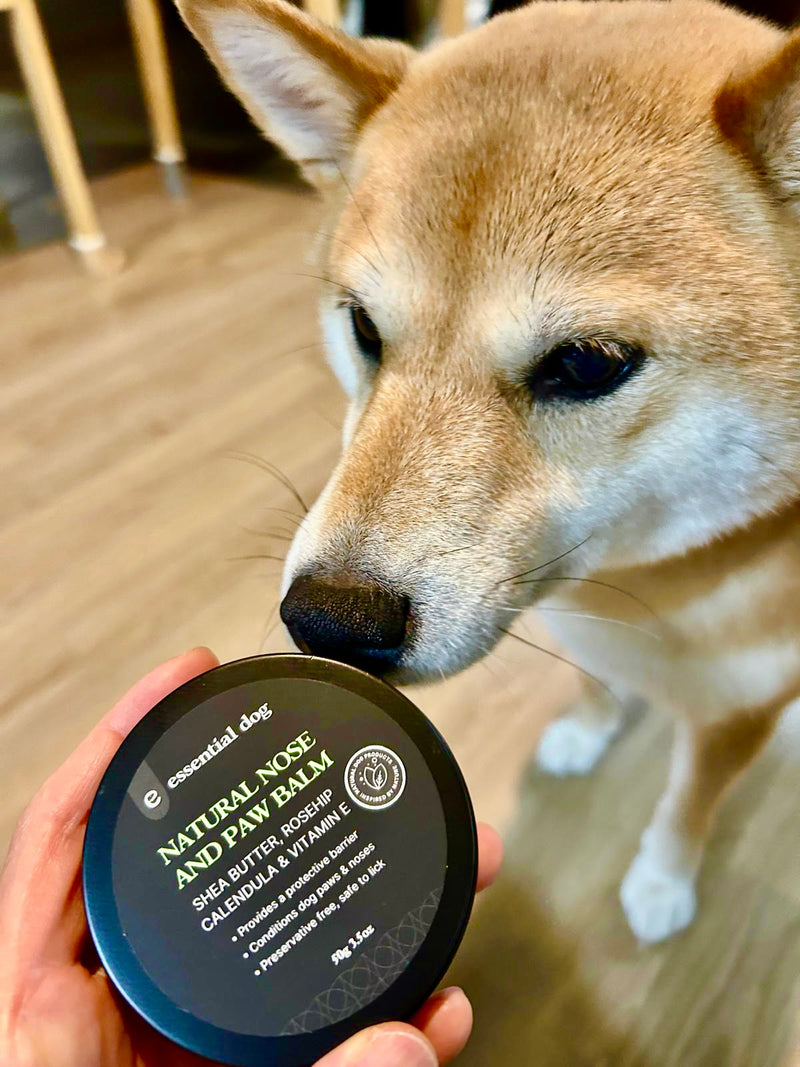 Dog Nose & Paw Balm (Jojoba Oil) 50g