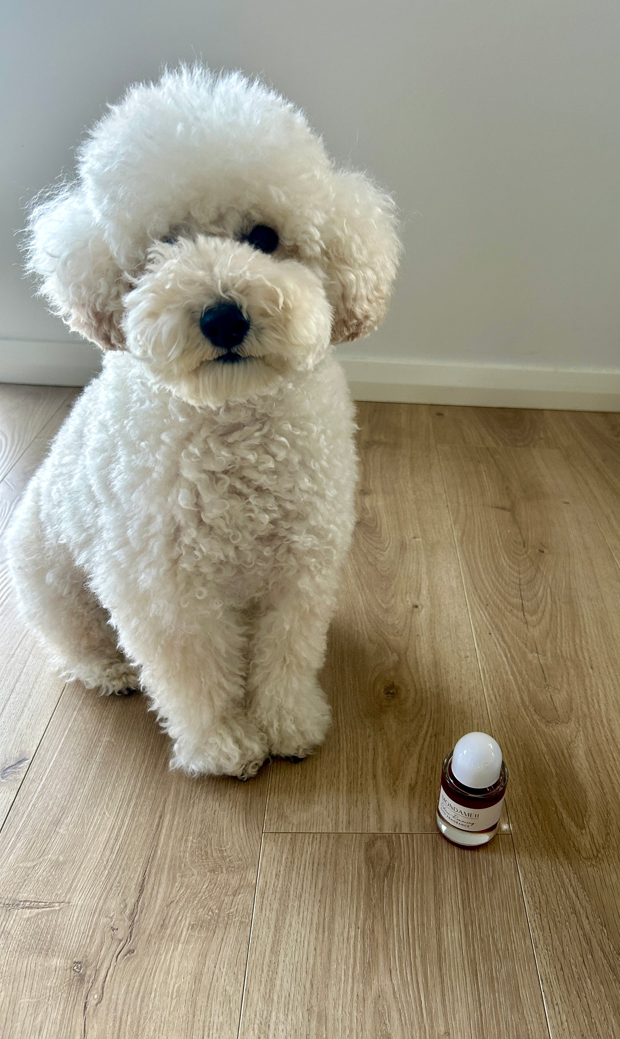 Mondame11 Dog Fragrance - Vanilla, Fruit & Floral