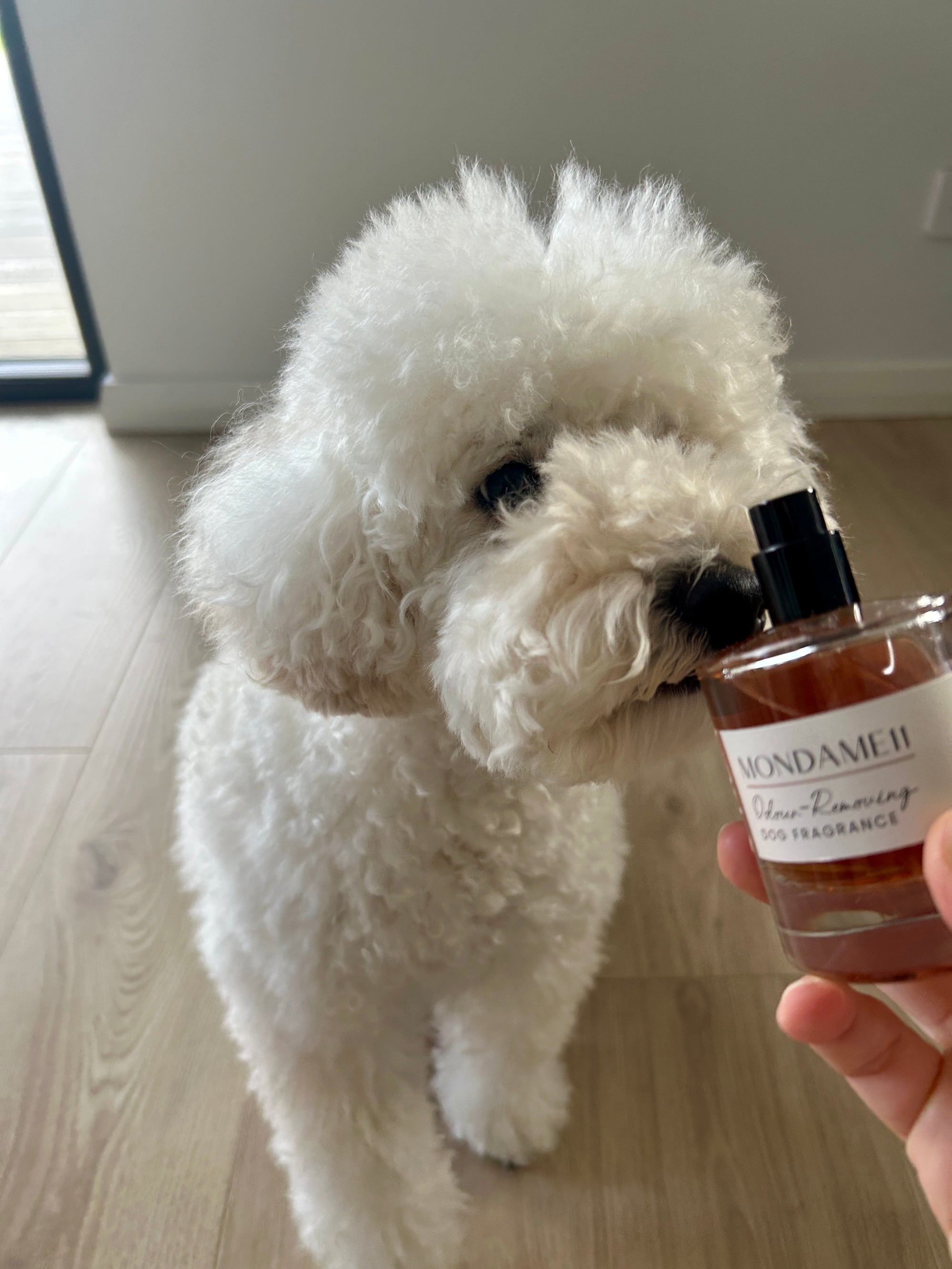 Mondame11 Dog Fragrance - Vanilla, Fruit & Floral