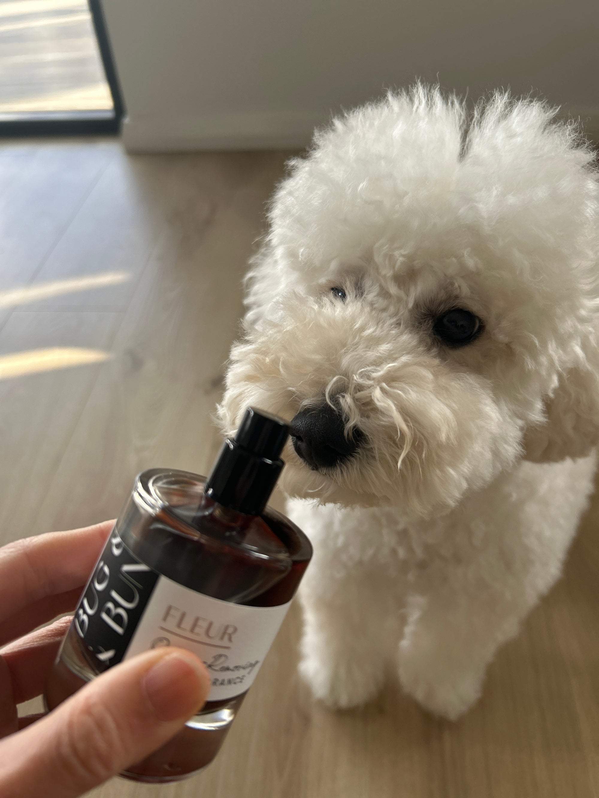 Fleur Dog Fragrance - Sweet, Musky & Floral