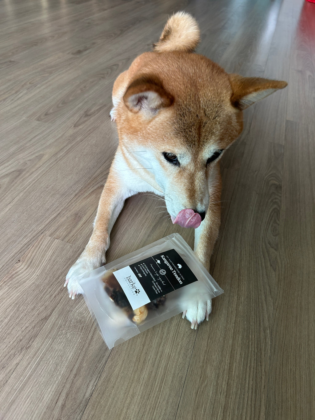 Premium Kangaroo Tendon 60g  <br> Chew Level 3 (Medium)