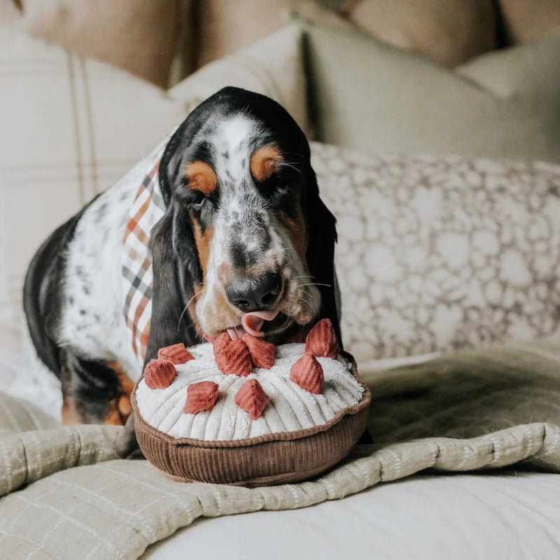 BERRY PIE - Snuffle & Squeaky