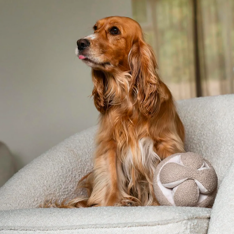 MONTI in Oat - Crinkly + Squeaky Snuffle Ball