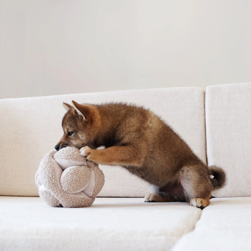 MONTI in Oat - Crinkly + Squeaky Snuffle Ball