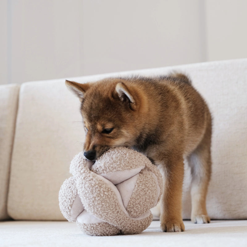 MONTI in Oat - Crinkly + Squeaky Snuffle Ball