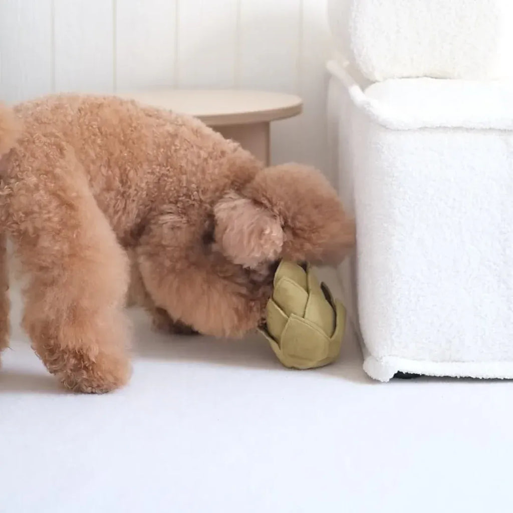 Artichoke - Snuffle + Soft