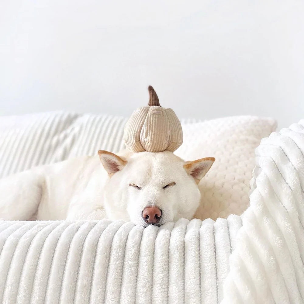 BOO - Snuffle Pumpkin