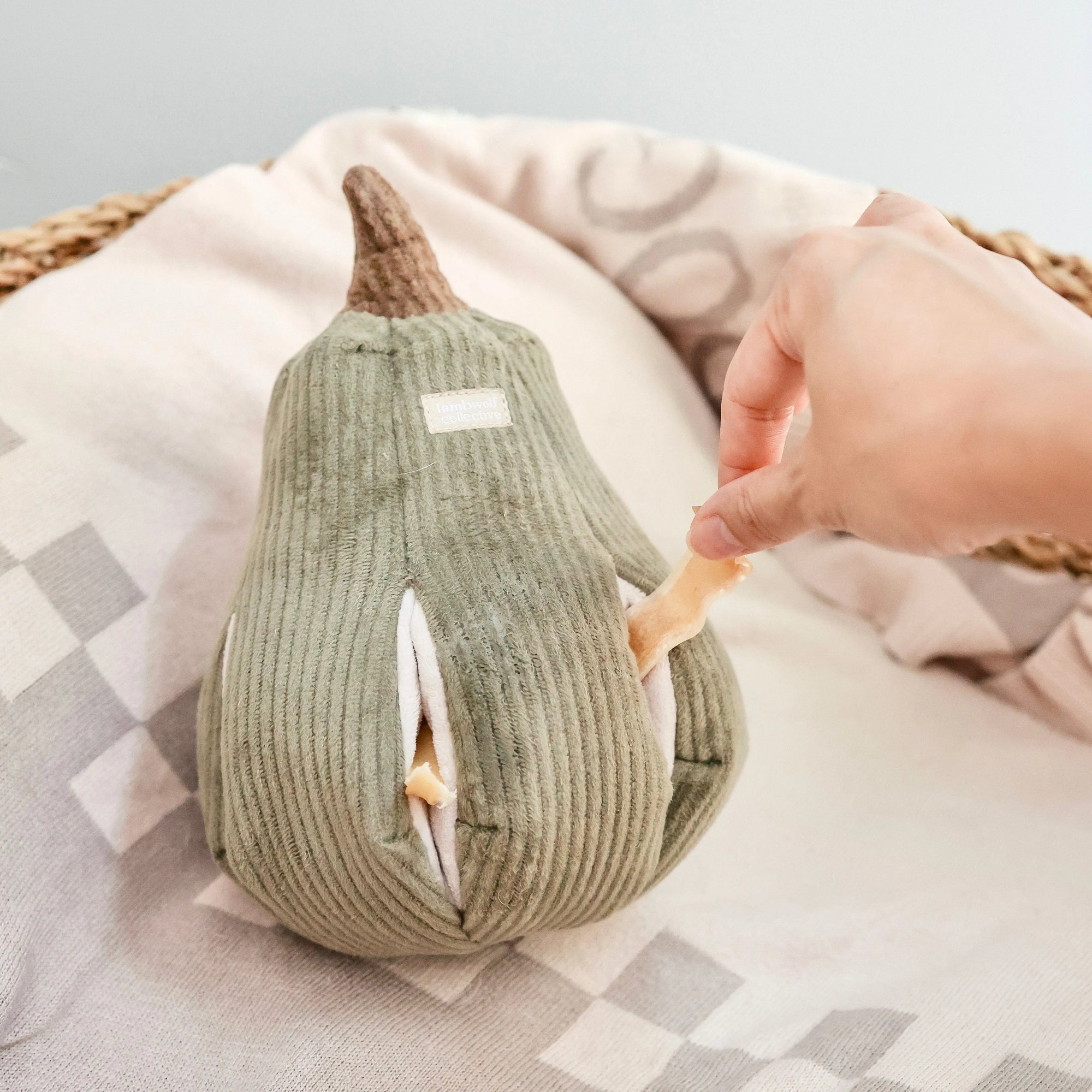 Butternut Small - Snuffle Gourd