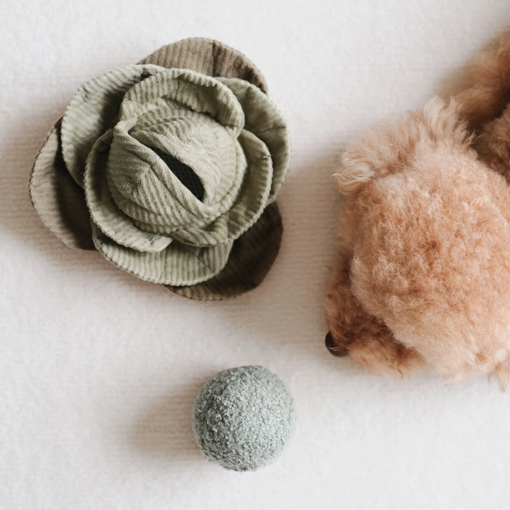 Cabbage Pop Large - Bouncy + Crinkly + Snuffle