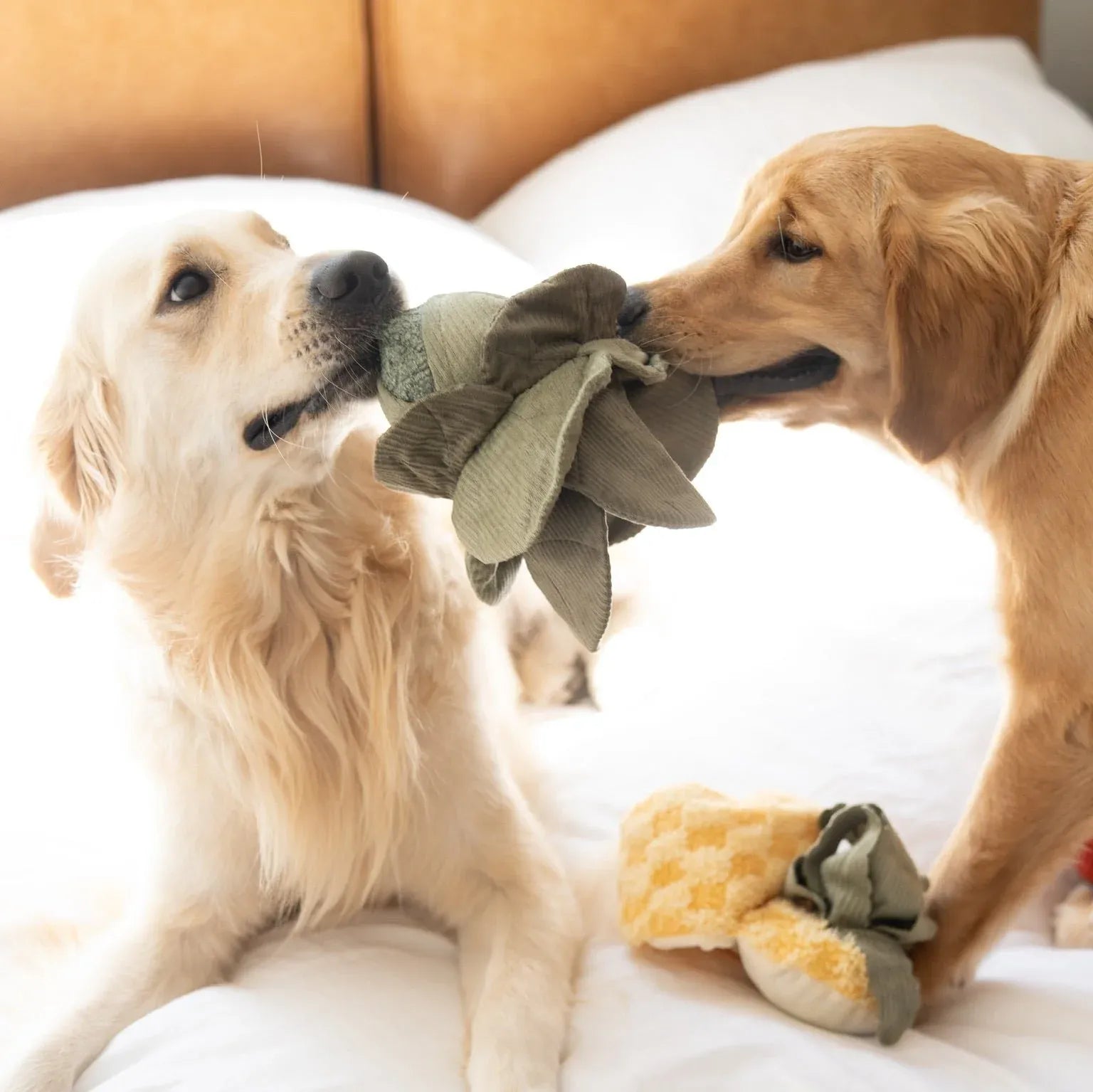 Cabbage Pop Large - Bouncy + Crinkly + Snuffle