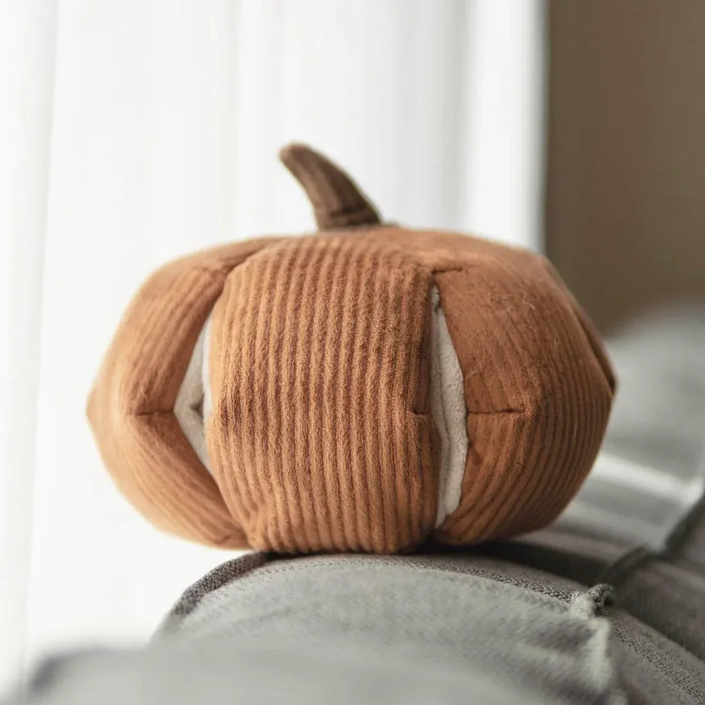 Cinderella Pumpkin Large - Squeaky + Snuffle